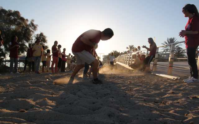 Strand Olympiade Teamaction