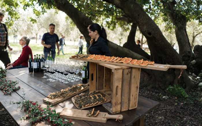 Aubocassa olive oil Mallorca 023