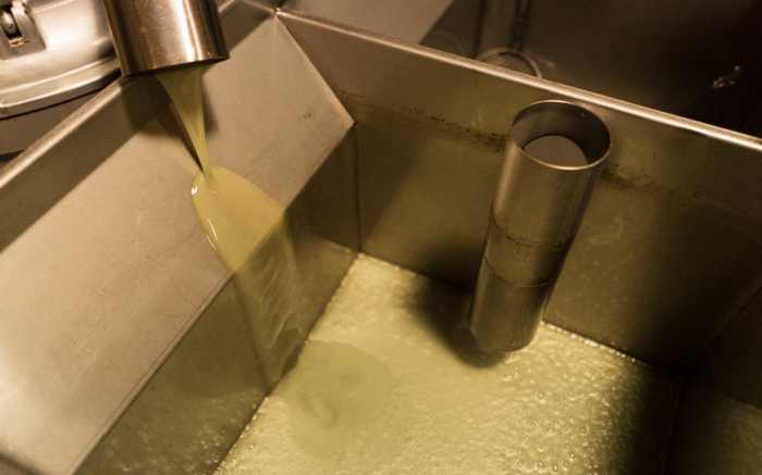 Aubocassa olive oil Mallorca 051