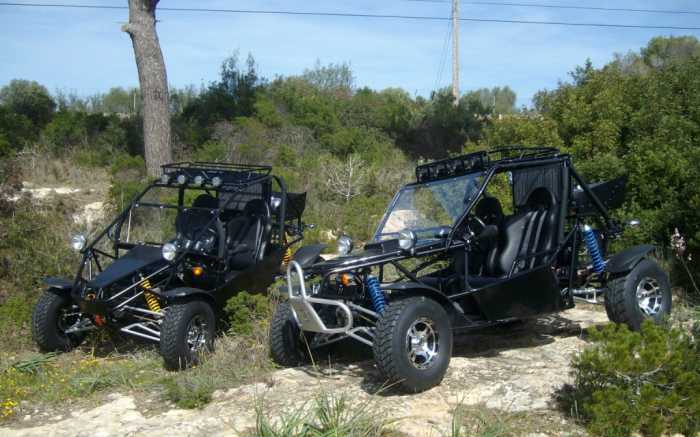Beach Buggy Meeting2