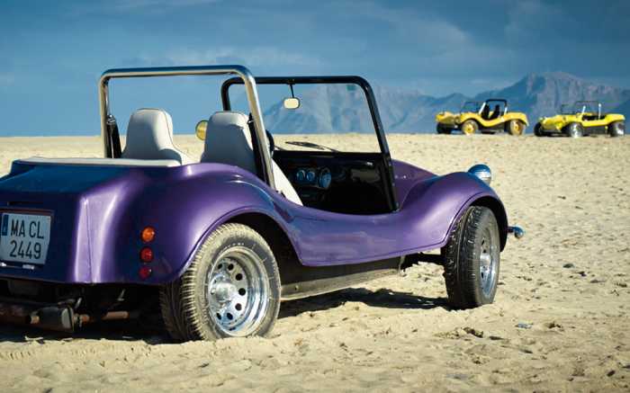 Beach Buggys 7