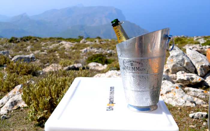 Baum pflanzen Incentive