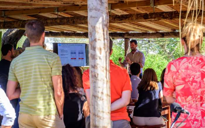 Event Agentur Meeting Mallorca