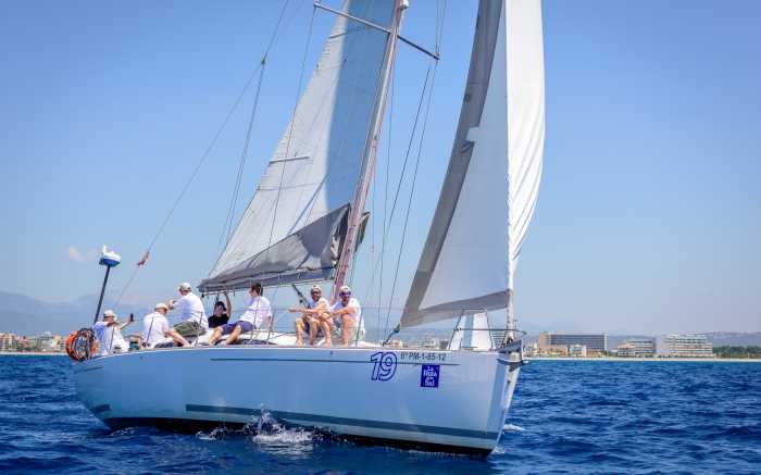 Sailing Regatta Cruising
