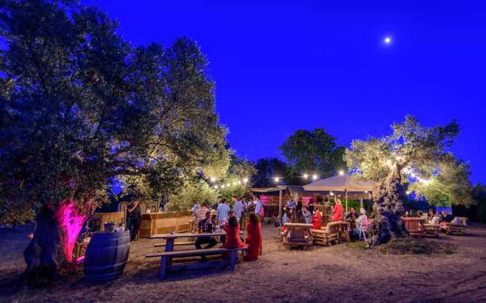 Firmenausflug Eventagentur Mallorca