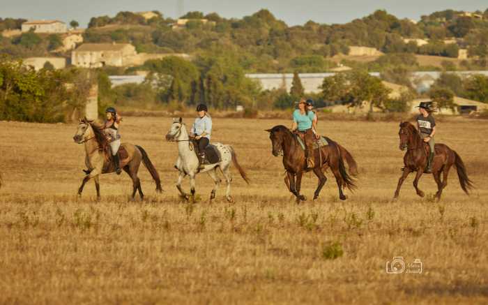 Geführter Reitausflug