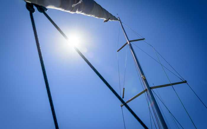 Sailing Regatta Sunshine
