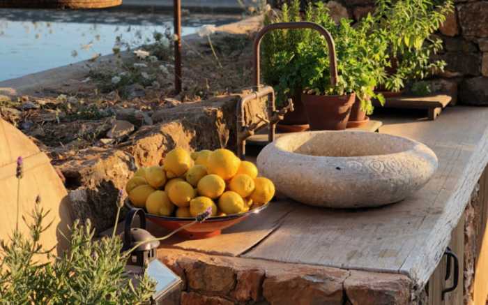 Dinner Farm
