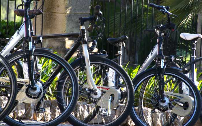 E-Bike Tour Sport