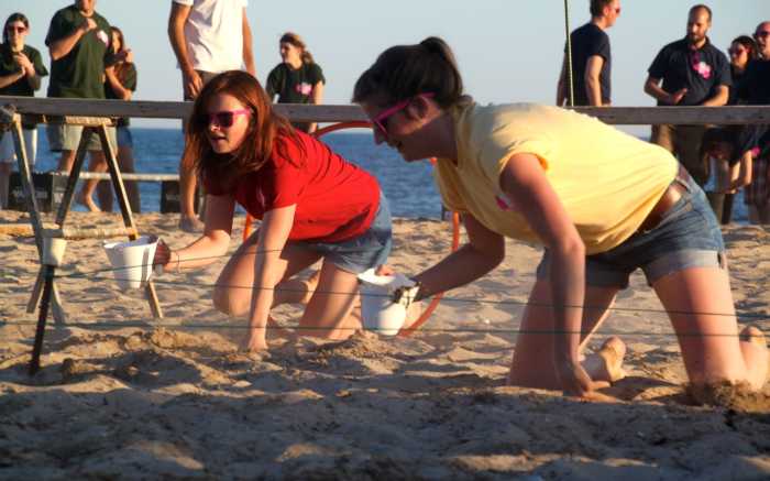 Beach Olympics Fun