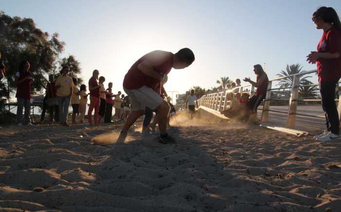 Beach Olympics Teamaction