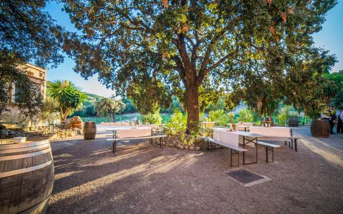 Wine Tasting Mallorca Incentive