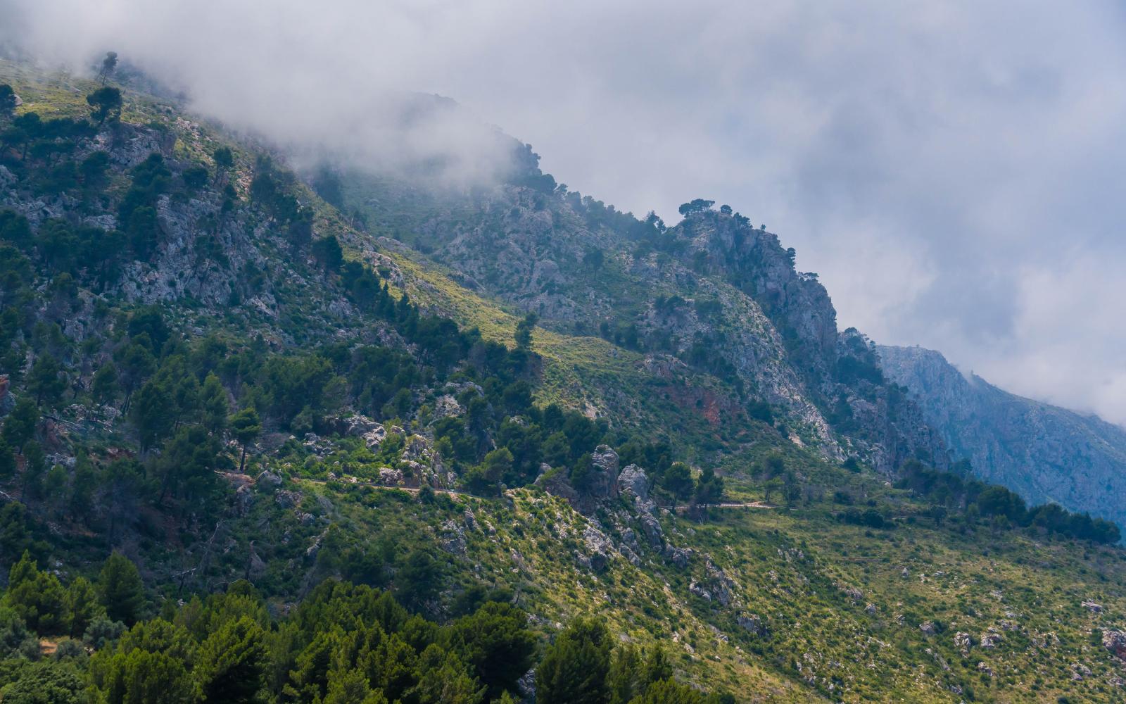 Cabrio Tour Landscape