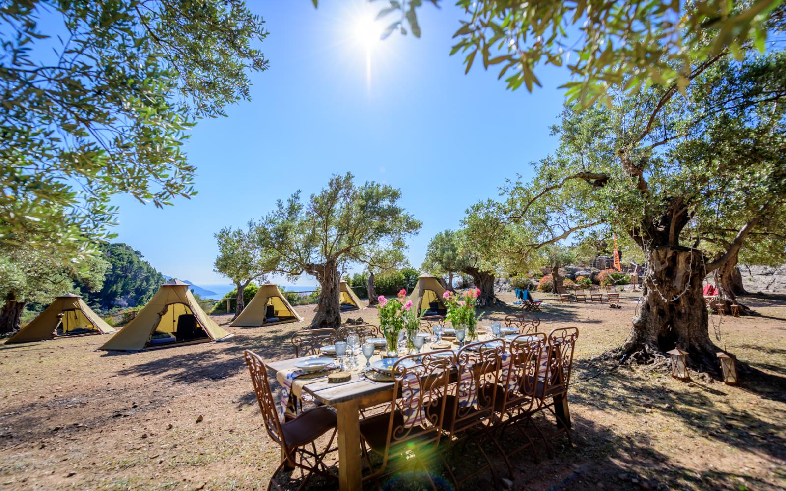 Event Management Ibiza Coaching