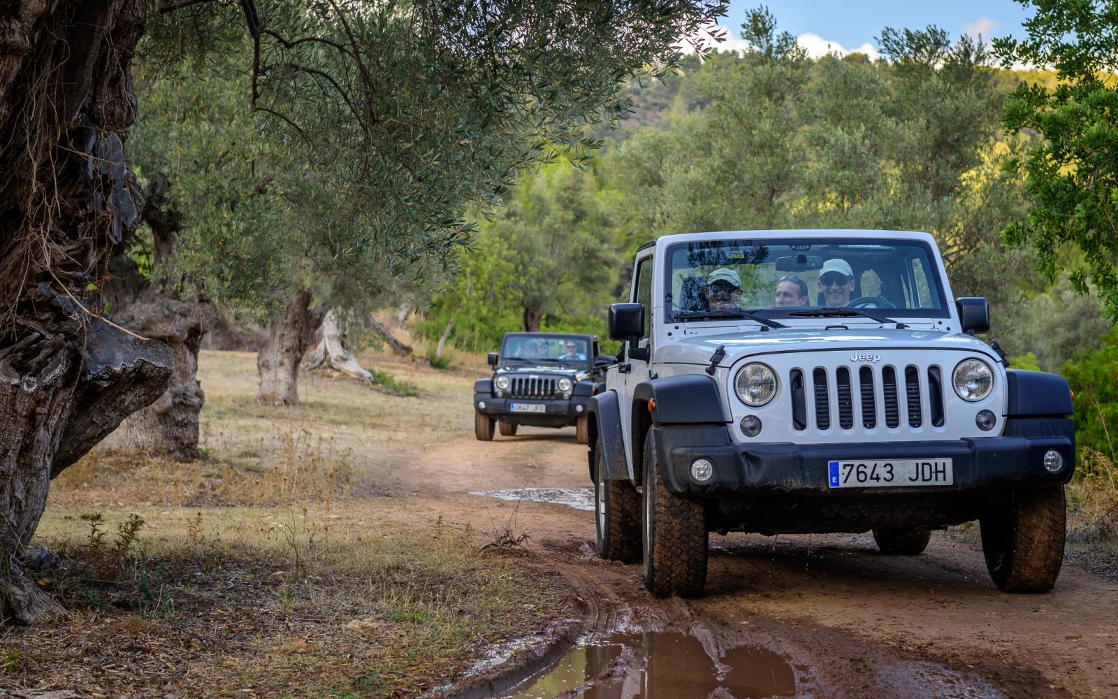 Eventagentur Coaching Mallorca2