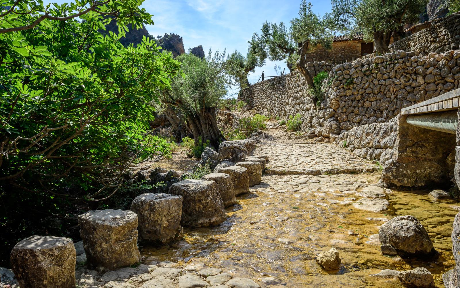 Hiking Adventure Activity