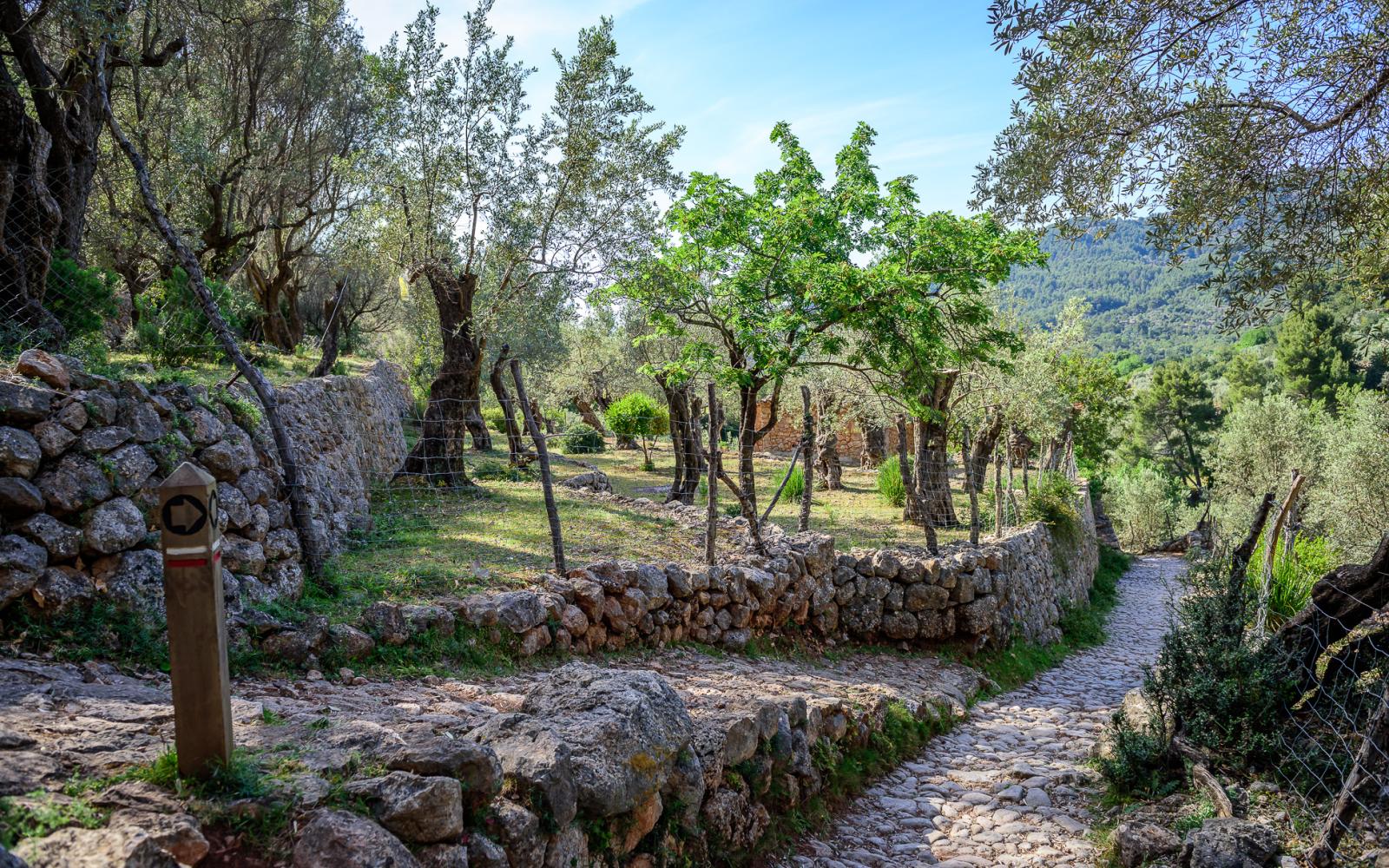 Hiking Adventure Incentive