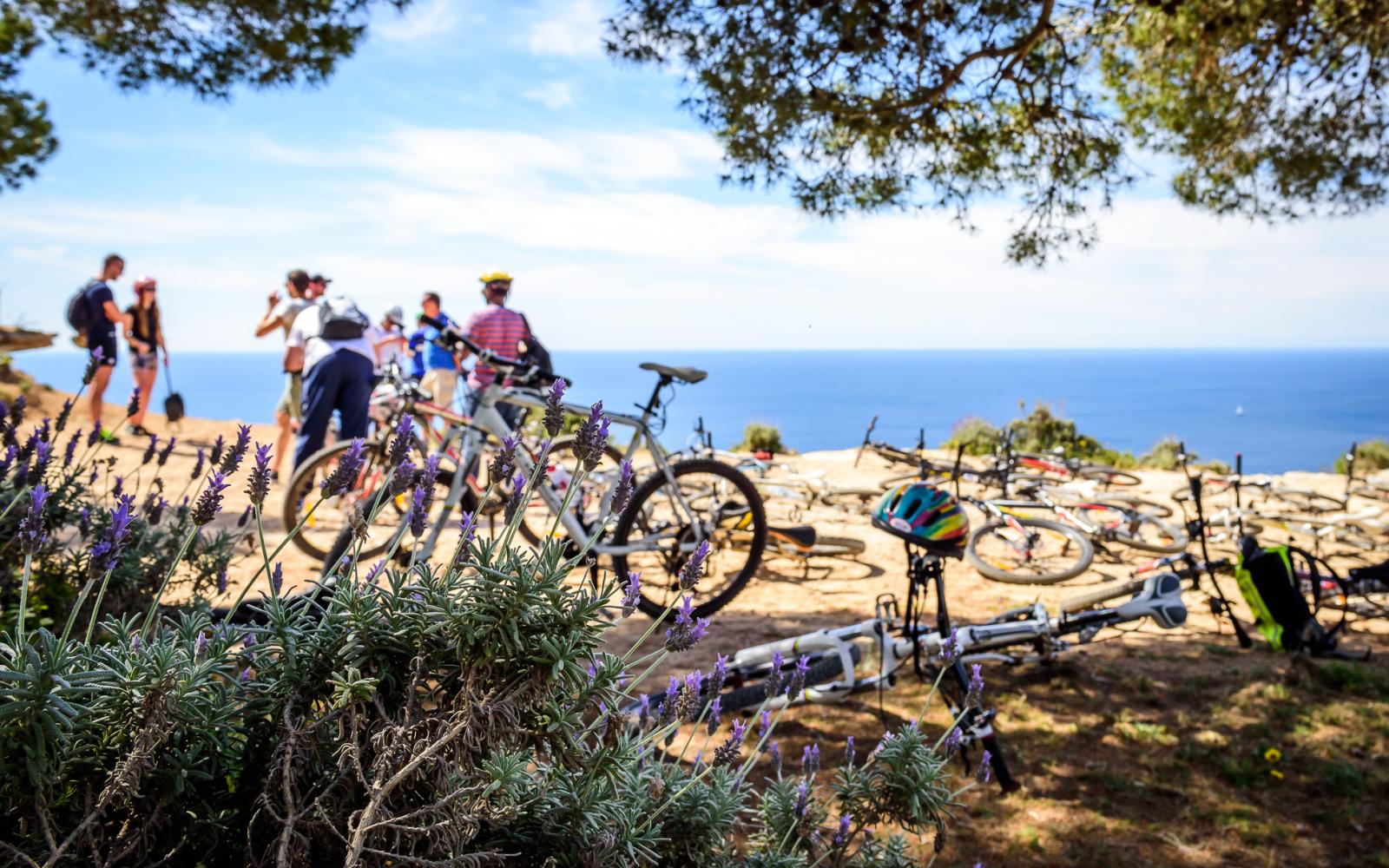 Mountainbike Tour Incentive Majorca