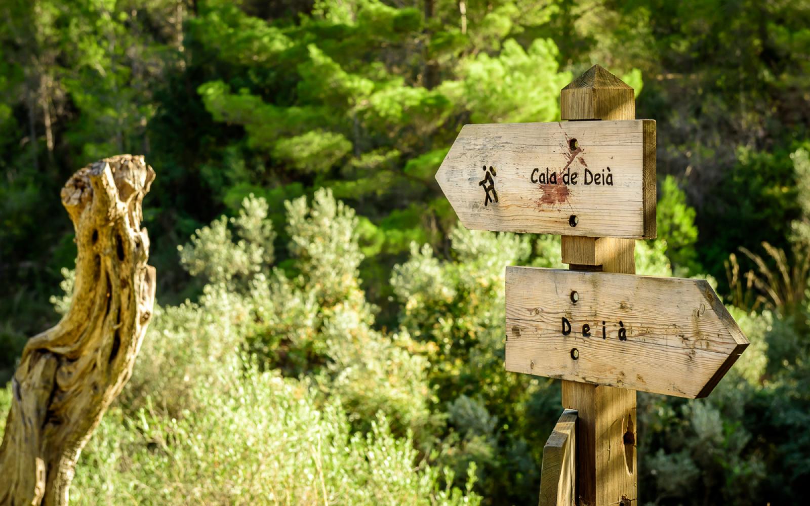 Hiking Adventure paths