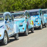 Insel Tour Ibiza Hippie