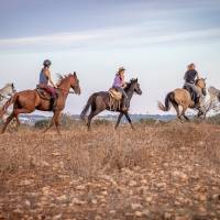 RIDDEN 46