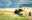 Beach Buggy Tour Mallorca
