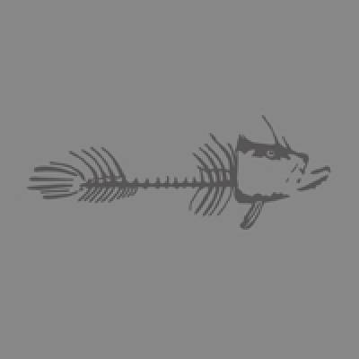 Monkfish image